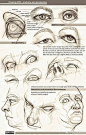 眼球结构 ​​​​