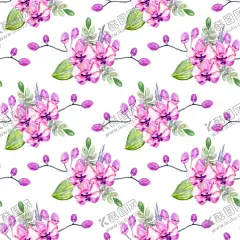 水彩花卉背景 【酷图网】花卉,花朵,水彩,花草,植物,叶子,夏季,多肉,手绘,插画,插图,背景,底图,壁纸,元素,装饰,创意,图案,纹样,花纹,肌理,肌底,纹路,底纹,素材,二方连续,四方连续,无缝,小清新,png,png图,PNG图,透明图,免扣图,免扣,免扣素材,透明背景,透明底,PNG,抠图