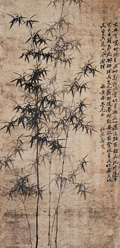 ynga采集到中国画