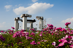 静若繁花の采集到好看的设计
