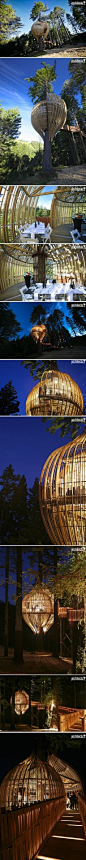 Yellow Treehouse - Pacific Environments Architects