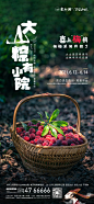 文旅、地产活动