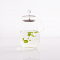 【专柜特价】法国Stylor高硼硅玻璃茶壶/时尚泡茶茶具/不锈钢茶隔 原创 设计 新款 2013 正品 代购