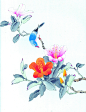 脑细胞-花鸟画(82)