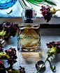 David Prince Photography | Fragrance-&-Beauty | 74 : This is Design X, a website you can build yourself