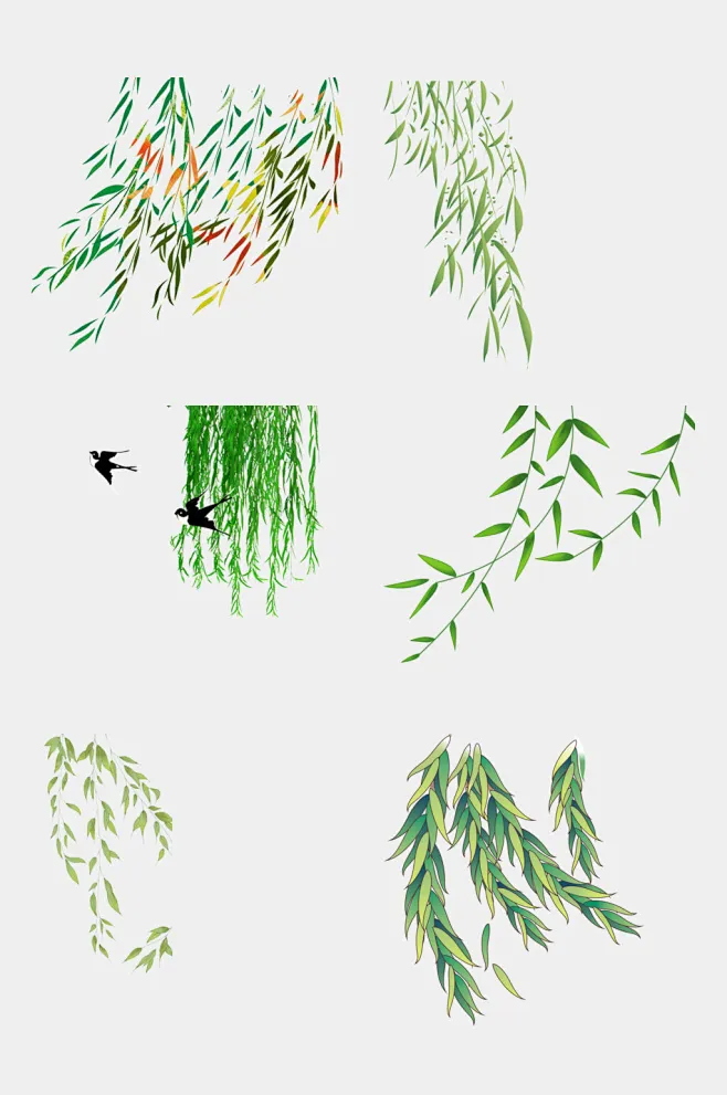 清新柳树枝条植物免抠素材-花瓣网