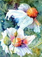 Cathy Quiel. Love the burst of oranges against the white.: 
