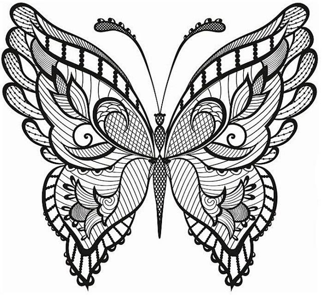 Butterfly