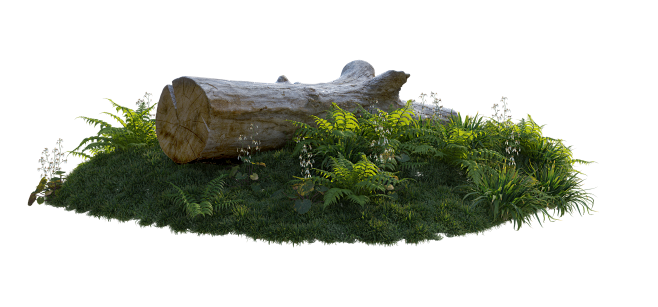 tree_5133