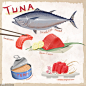 水果蔬菜鱼虾肉美食插图插画