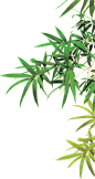 02119bfab476a2f5608d2a6c18c20af7ac3e2ae140f6a-8H4aNx