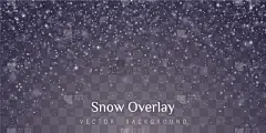 透明,背景聚焦,雪,分离着色,自然,幻想,干燥食品,庆祝,设计,装饰