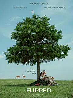 看了电影海报《怦然心动》拍的一组婚纱照 - 小红书