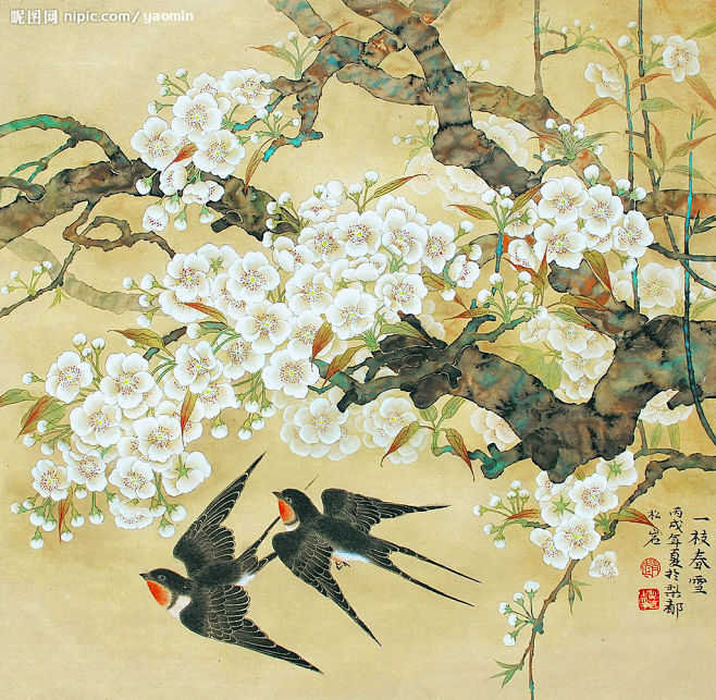 燕子