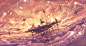 02157c19c49b5afe5aeceedc8d76c5b0625ff3f69ab48-Wun2Ex
