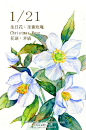 豆芽君的haru酱的微博_微博