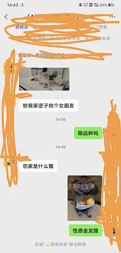 sexual 
这么有趣的人，怎么就被踢了