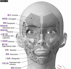 文艺小小采集到结构