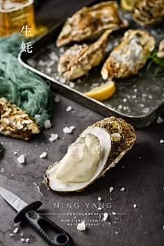 用于宣传物料背景采集柯睡虫采集到生鲜水果类生蚝 #设计元素