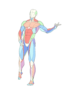 maersi采集到绘画
