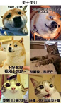 - 内涵社区(neihanshequ.com)