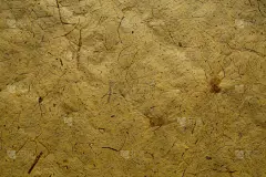 抽象的背景。黄色的纹理。近距离观察植物纤维质地。抽象的背景和纹理为设计师。赭色的纹理。植物纤维的背景