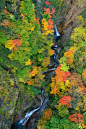 沟壑,垂直画幅,秋天,瀑布,无人,山谷,峡谷,福岛县,河流,户外