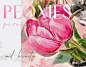 Illustration for a brand of beauty accessories