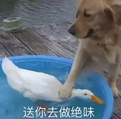 有哪些万能的表情包推荐？ - 知乎