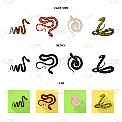 哺乳纲,危险,符号,螺线,蛇,动物,尾巴,爬行纲,蝰蛇,分离着色