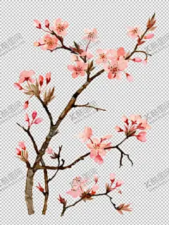 透明底梅花 【酷图网】透明底梅花,梅花,素材,梅花图案,桃花,梅花背景,中国风,中国风素材,梅,寒梅,山水画,水墨画,水墨画素材,山水画素材,腊梅,腊梅背景,花,花素材,中国花,梅花剪影,梅花剪纸,梅兰竹菊,梅兰竹菊素材,梅花字画,水墨素材,灯笼,花瓣,透明底,免抠图,TIF,PNG,PSD,分层图