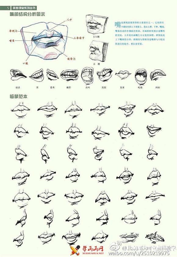 【图片】美术速写学习资料，五官（鼻子、耳...