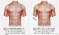 #绘画参考# 嗷ヽ(*´∀`)ﾉ男性躯干的画法参考，了解人体肌肉的关系，教你画出男性躯干漂亮的人鱼线~（整理by：@半次元绘画频道 ）