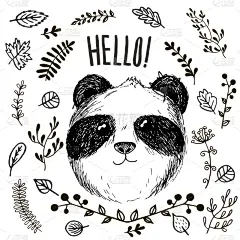 动物,熊猫,贺卡,儿童,婴儿,白色,黑色,式样,可爱的,画画
