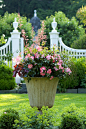  Container gardening