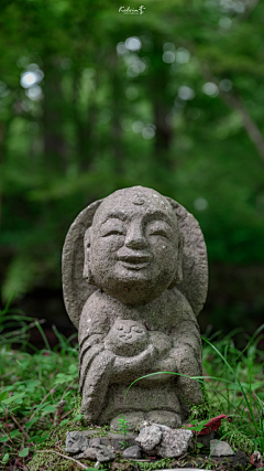 lin有鹿采集到佛