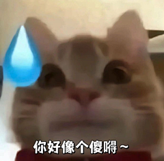 飒陌采集到搞怪
