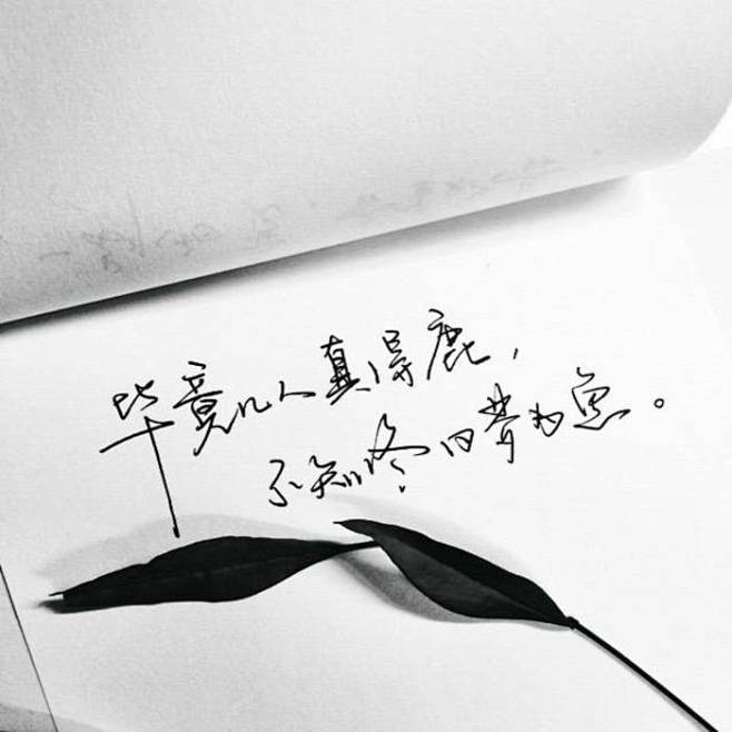 【手写|菊花体】 【Weibo】零雨其蒙...