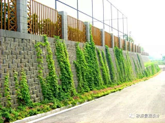 刘小二的2采集到挡墙植物