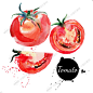 手绘美食 水彩 素材 番茄