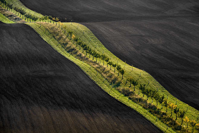Moravian fields by J...