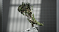 Nike Free 5.0 : A ManvsMachine project.Seeking the boundary between the real and artificial, we crafted a timelapse of a bonsai styled foot to showcase the natural feel and form of Nike Free 5.0.