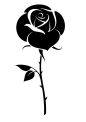 玫瑰花1-27