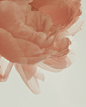 yaoqi-Vo3uKy5tlVc-unsplash