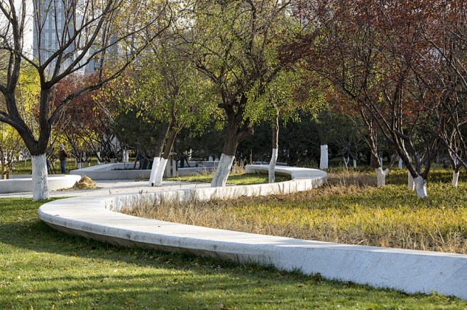 北京中关村科技园绿地改造