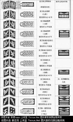 SOHO面包屑采集到战争