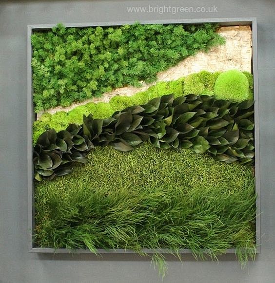 植物墙（绿墙） (17)