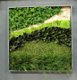 植物墙（绿墙） (17)