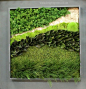 Preserved Moss Art mixed with Preserved Ming Fern, Tiki Fern and other foliages