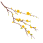 手绘黄色梅花花卉植物元素